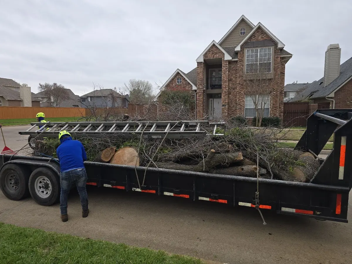 Expert Tree Removal with proper safety equipment in Radford